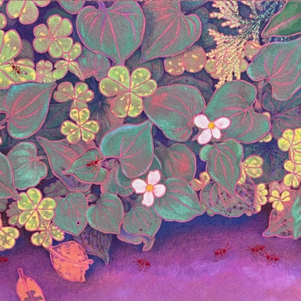 可愛い花